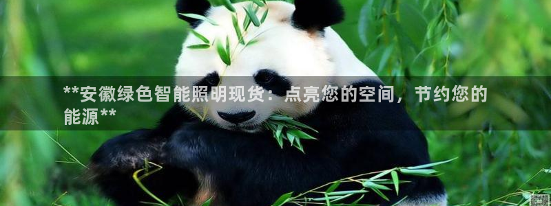 云顶国际游戏平台官网