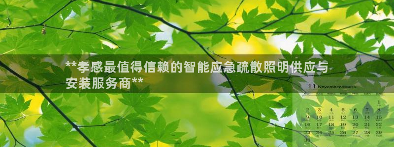 云顶国际怎么样