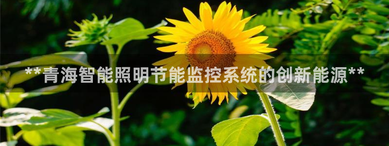 云顶国际俱乐部