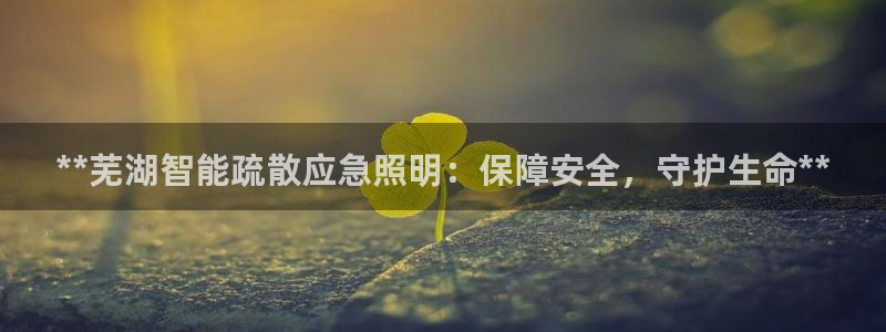 云顶集团 中国排名第几