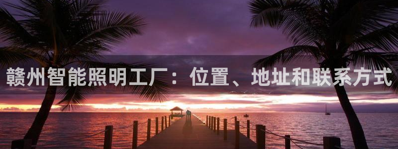 云顶国际服s11
