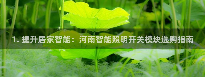 云顶国际装饰设计