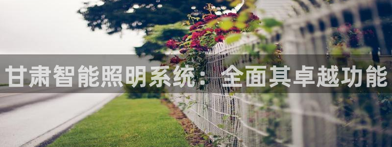 云顶国际物流