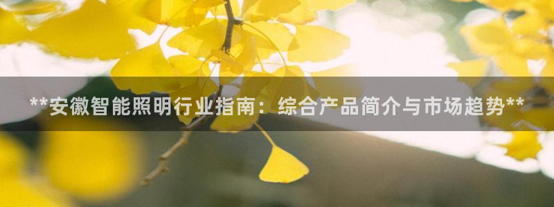 云顶国际版怎么下载
