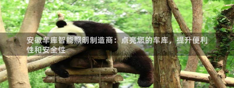 云顶国际版