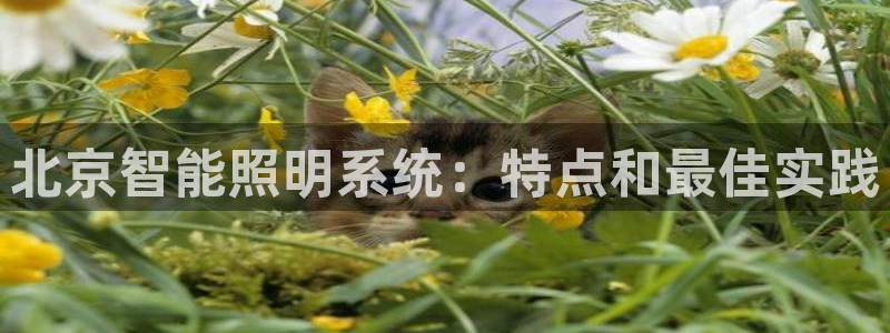 云顶官网网址