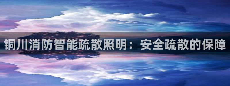 云顶集团有限公司