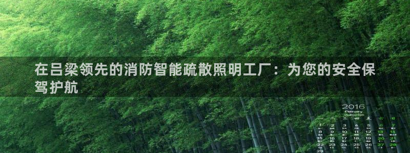 云顶国际服s11什么时候上线