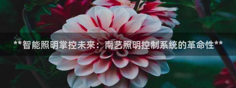 云顶国际实业有限公司