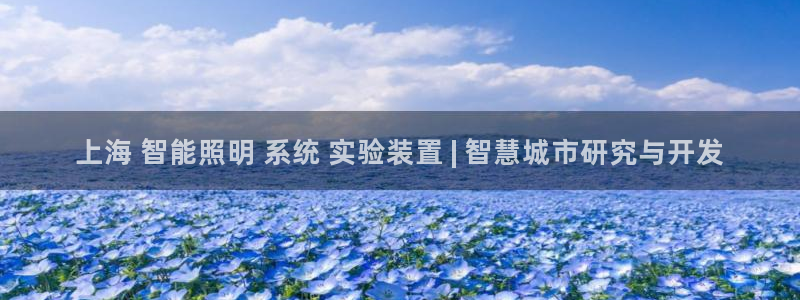云顶国际服没有改名卡