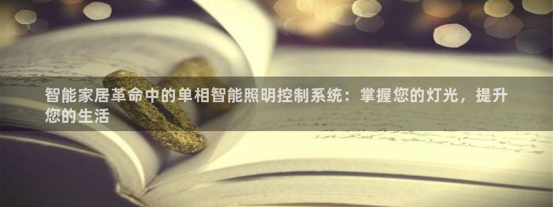 云顶国际软装公司怎么样