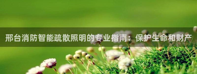 云顶国际服怎么更新