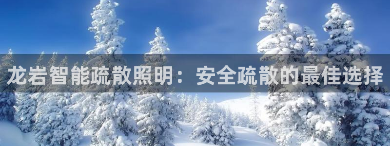 云顶国际旅行社怎么样