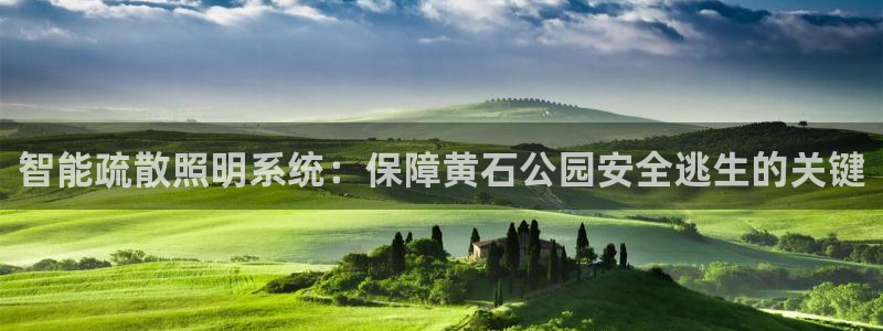 云顶国际平台游戏可靠吗安全吗