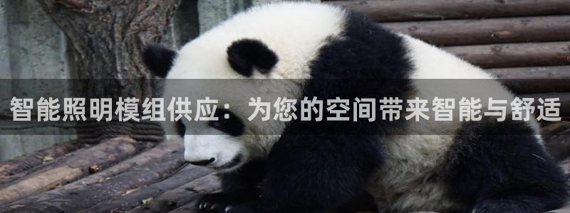 云顶国际属于哪个社区