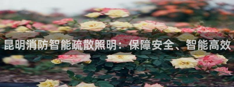云顶国际是正规平台吗安全吗