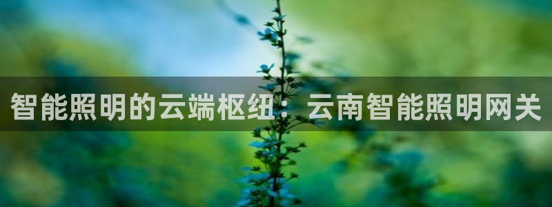 云顶国际中国官方网站下载
