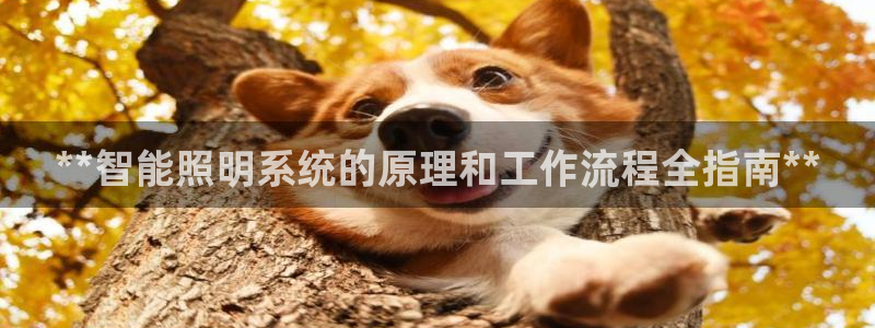 太原云顶国际酒店老板是谁