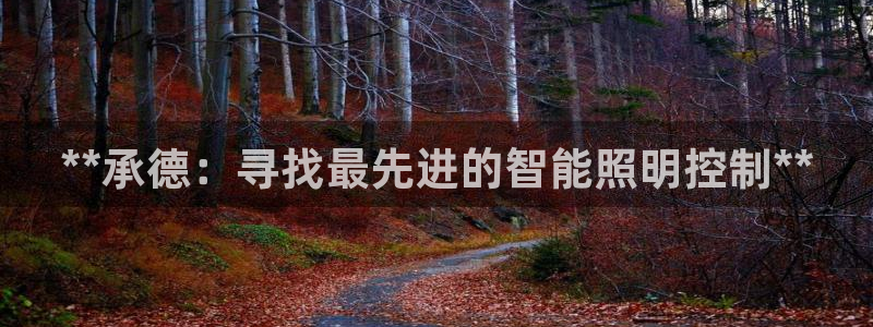 云顶国际服mac汉化
