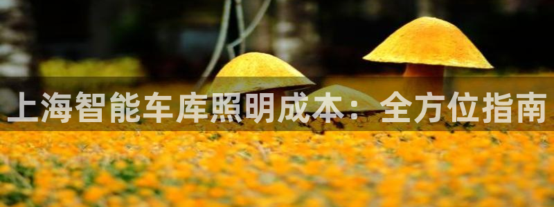 云顶t00