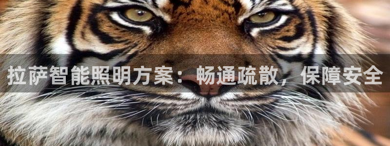 云顶集团创始人