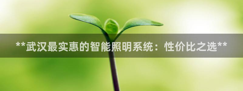 云顶国际会所在哪里
