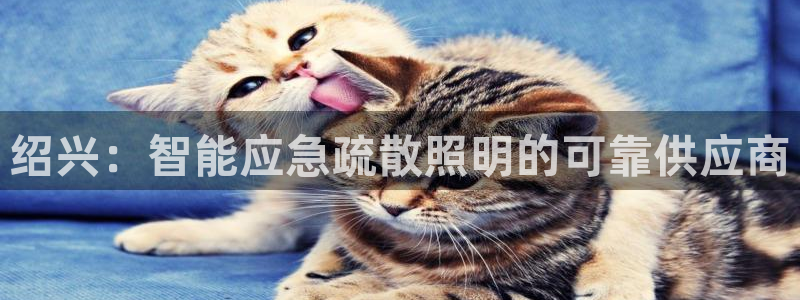 云顶集团游戏app月底为什么赢不到钱了