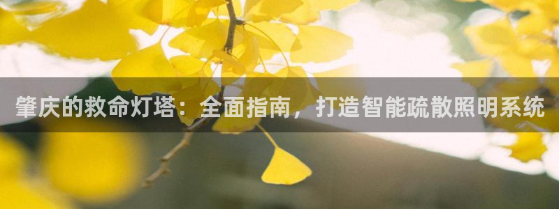 云顶国际yun588