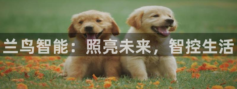 云顶网站是多少