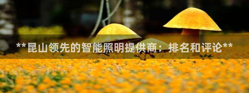 云顶国际集团