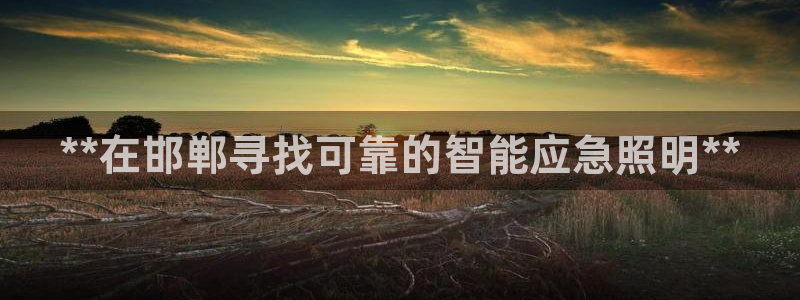 云顶集团简介