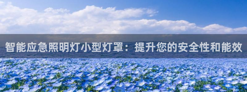 云顶国际77026