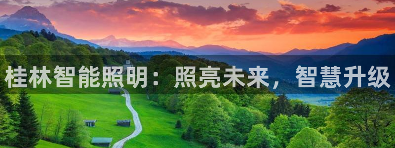 云顶新网站