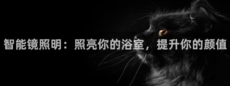 云顶国际二手房