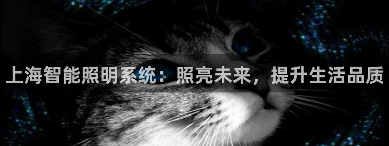 云顶国际商业广场 可以停车吗