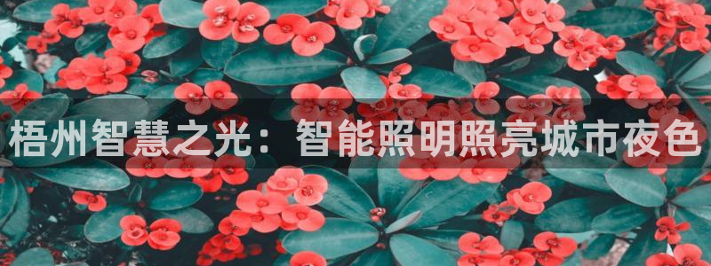 云顶国际服最新版