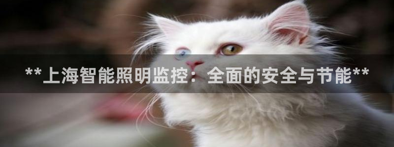 云顶国际公馆二手房出售：**上海智能照明