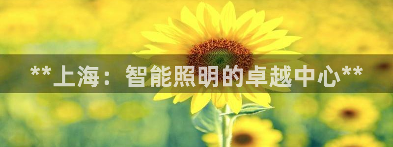 云顶国际ktv会所地址：**上海：智能照