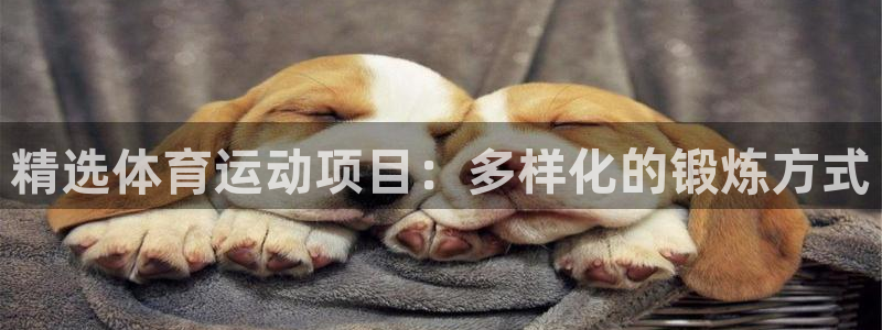 xc体育app官方网站