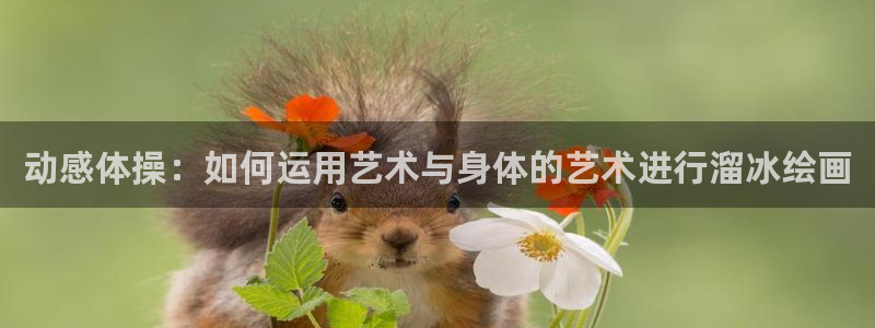 xc体育app官方网站