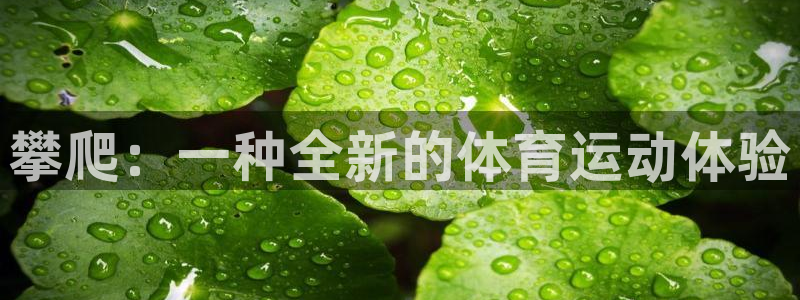 xc体育app官方网站