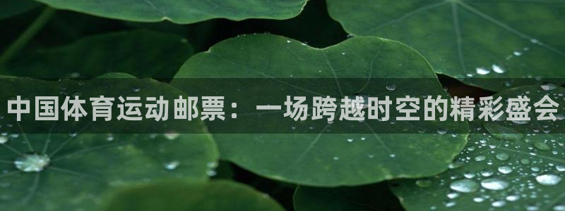 xc体育